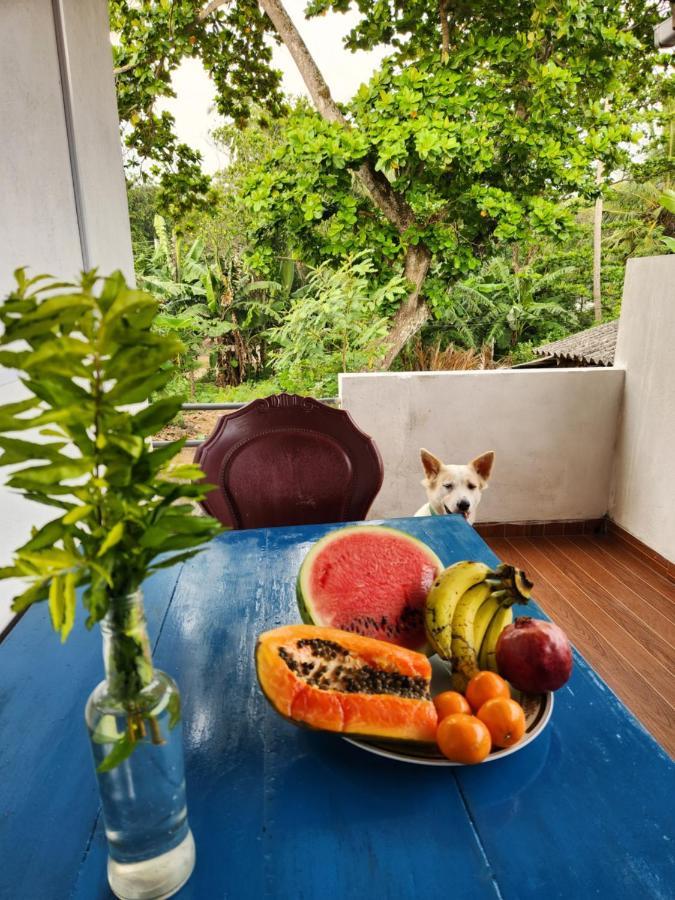 דירות דיקוולה King Coco House מראה חיצוני תמונה